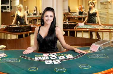 Live Casino Dealer