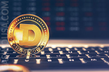 DOGE coin on Laptop