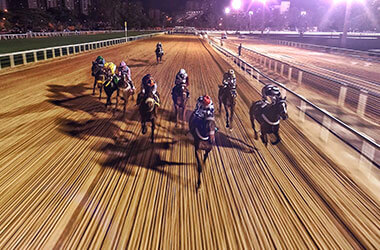 Gambar Pacuan Kuda di Harrah's Hoosier Park Racing & Casino, Indiana